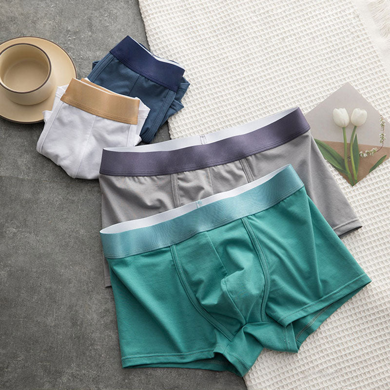 🩲Boxer Élastique Doux et Respirant pour Hommes