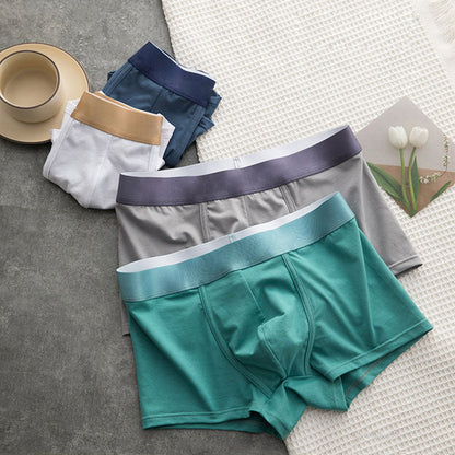 🩲Boxer Élastique Doux et Respirant pour Hommes