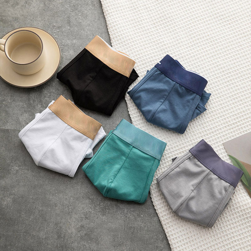 🩲Boxer Élastique Doux et Respirant pour Hommes