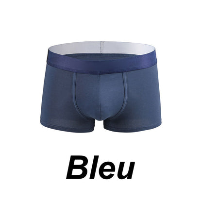 🩲Boxer Élastique Doux et Respirant pour Hommes