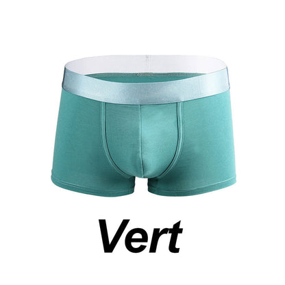 🩲Boxer Élastique Doux et Respirant pour Hommes