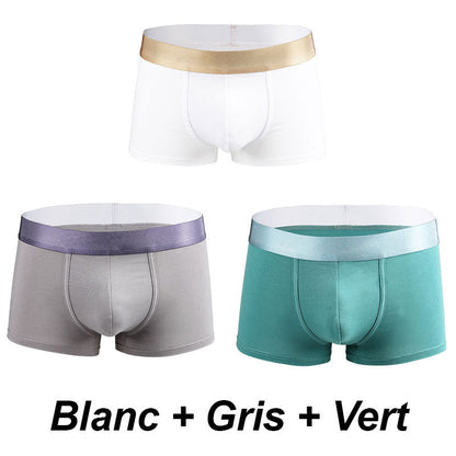 🩲Boxer Élastique Doux et Respirant pour Hommes