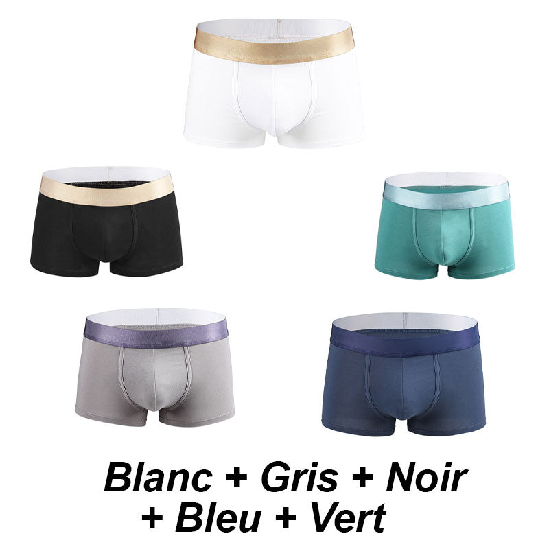 🩲Boxer Élastique Doux et Respirant pour Hommes